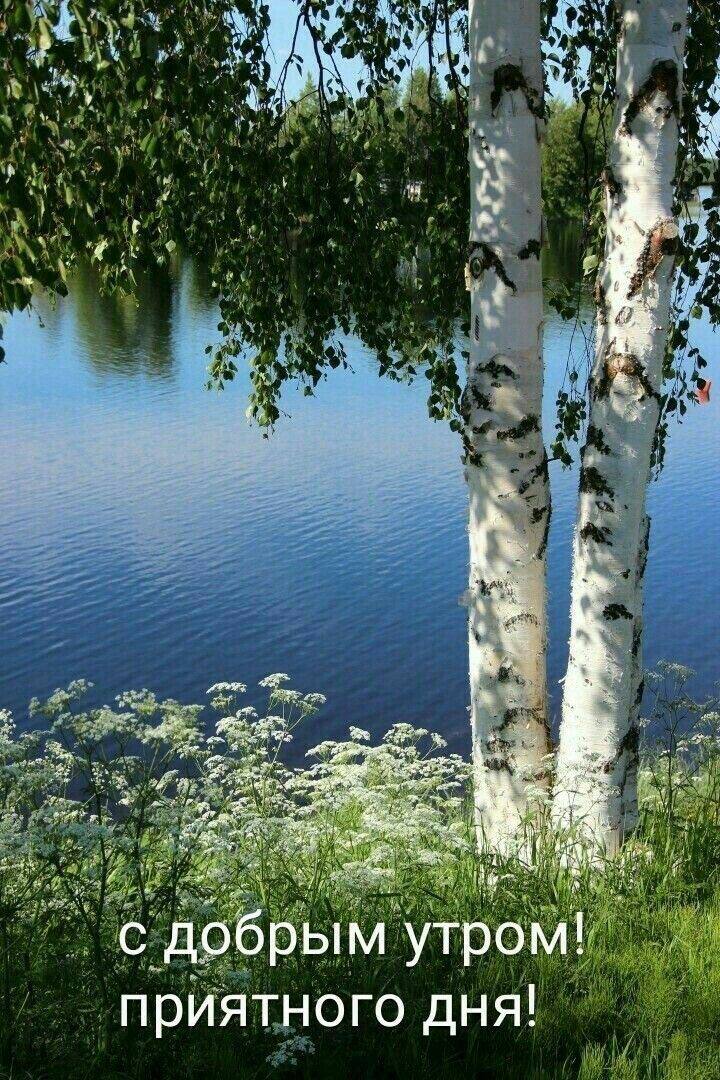 Утренние картинки
