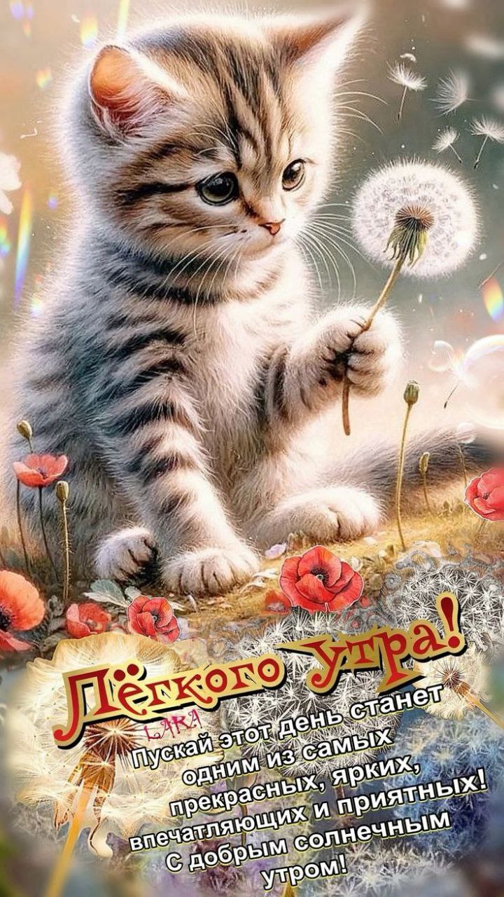 Утренние картинки
