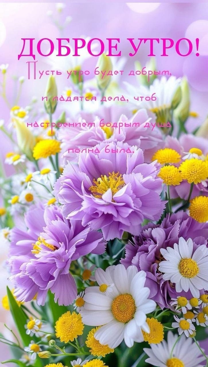 Утренние картинки