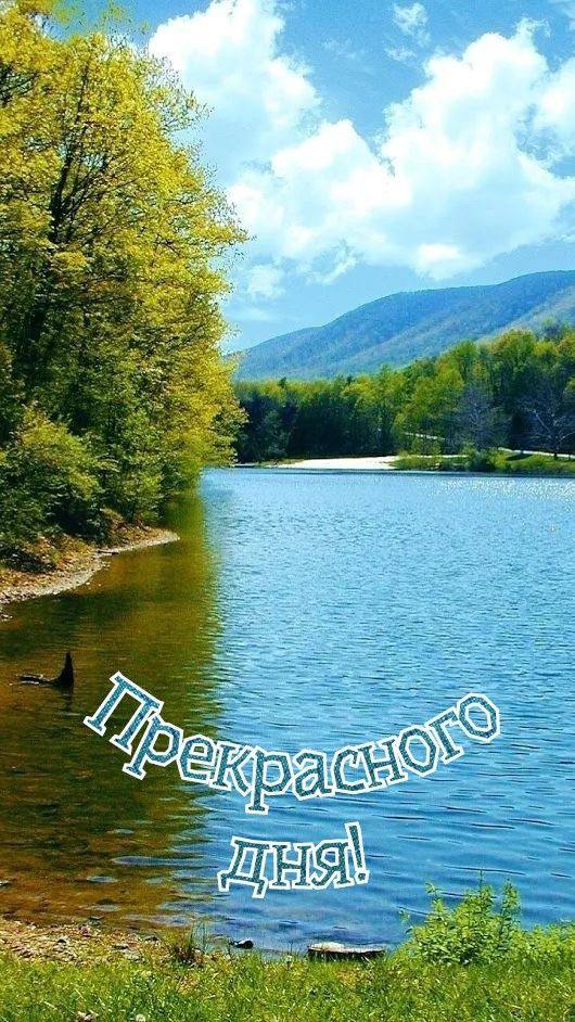 Утренние картинки