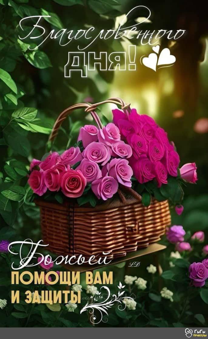 Утренние картинки