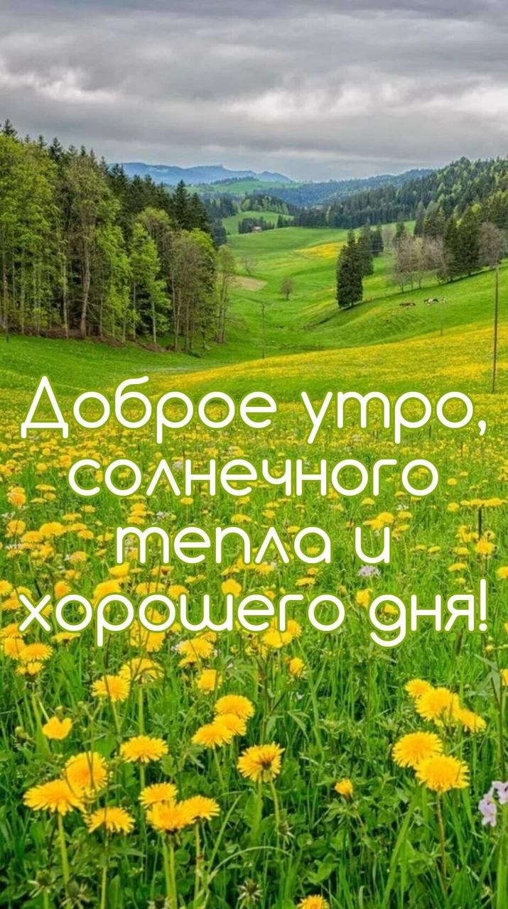 Утренние картинки