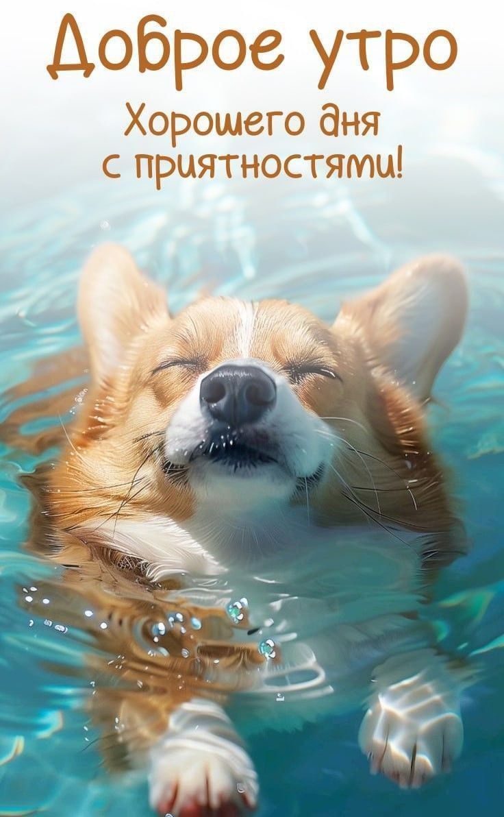 Утренние картинки