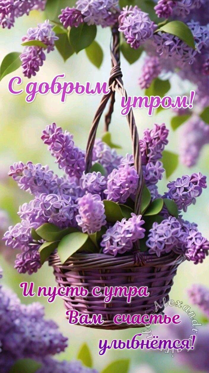 Утренние картинки