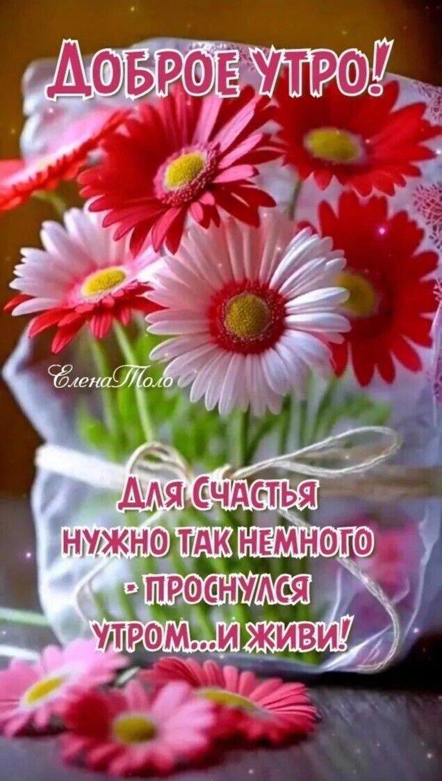Утренние картинки