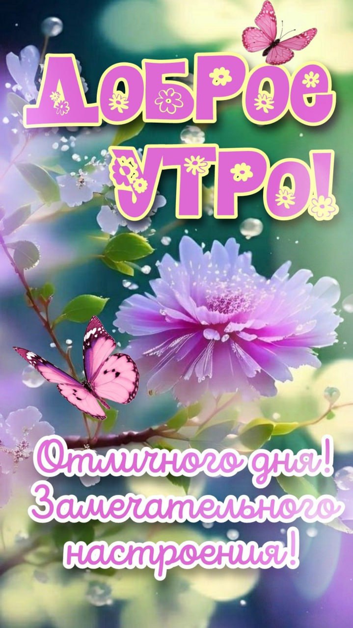 Утренние картинки