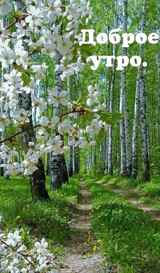 Утренние картинки