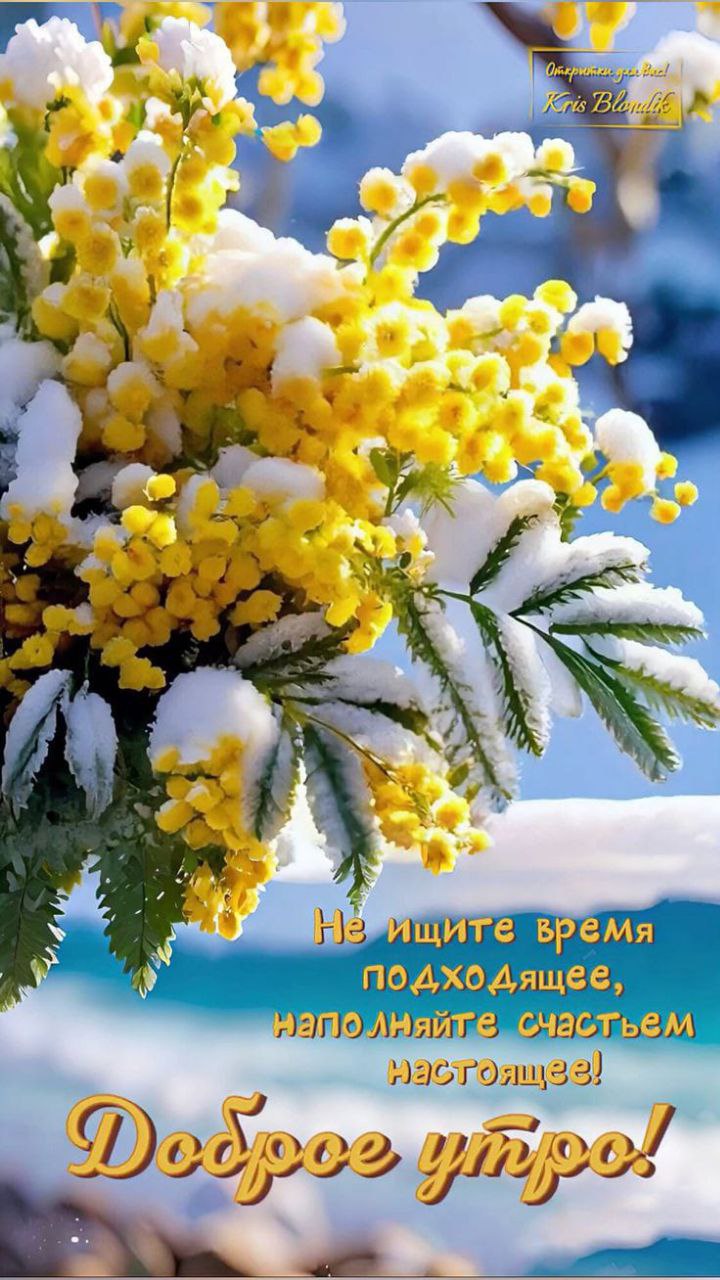 Утренние картинки
