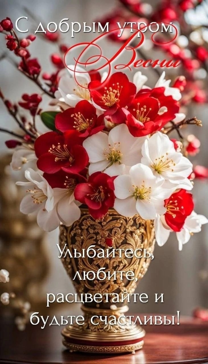 Утренние картинки