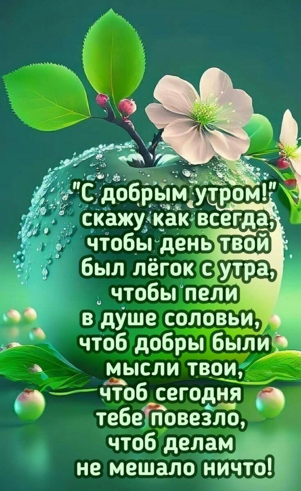 Утренние картинки