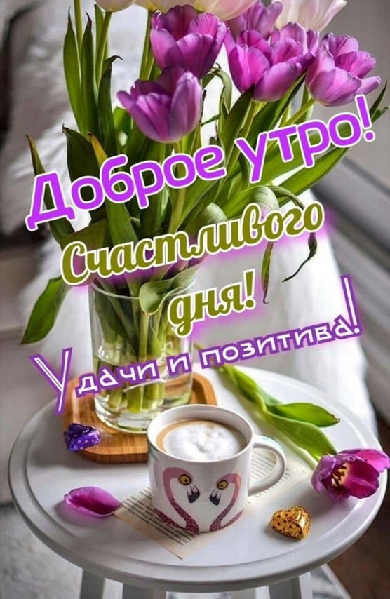 Утренние картинки