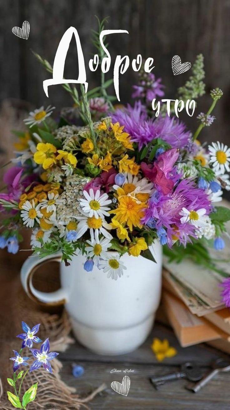 Утренние картинки