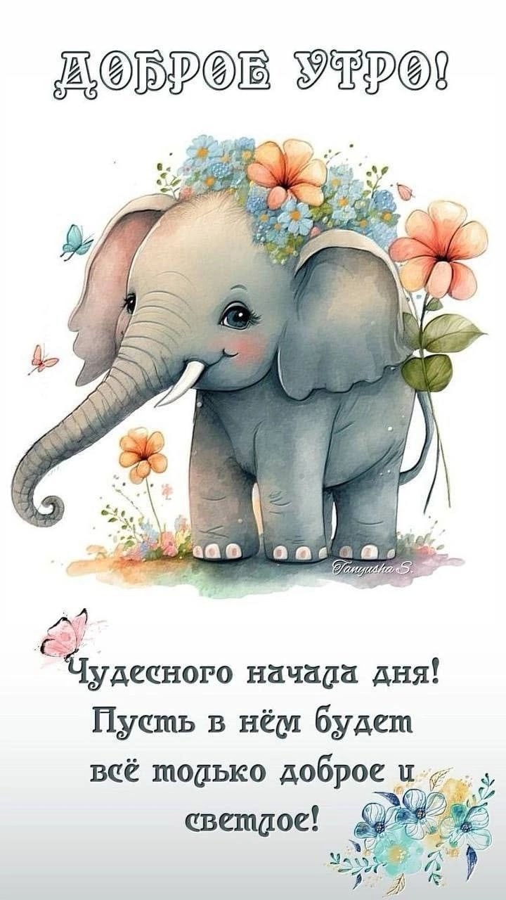 Утренние картинки