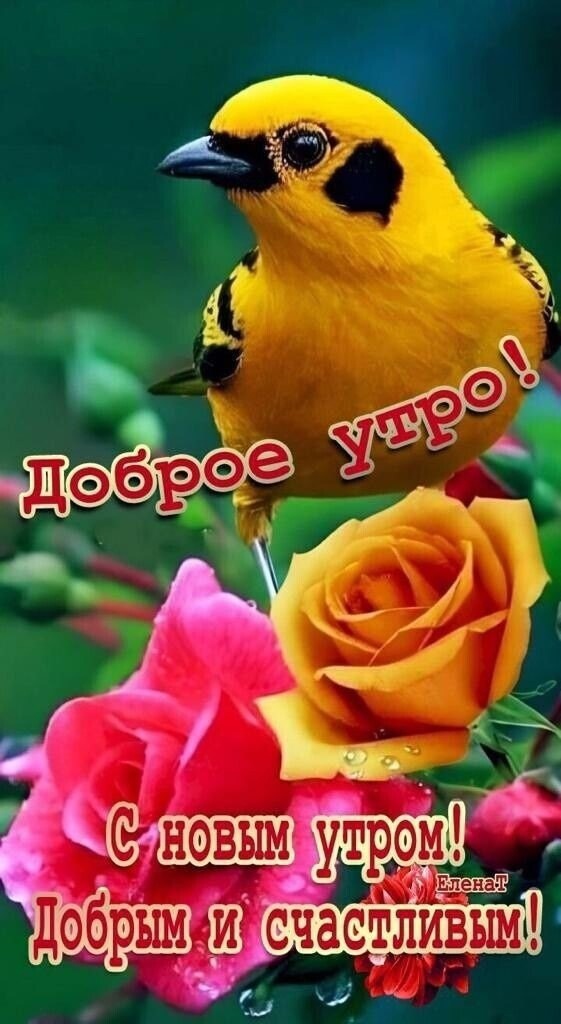 Утренние картинки