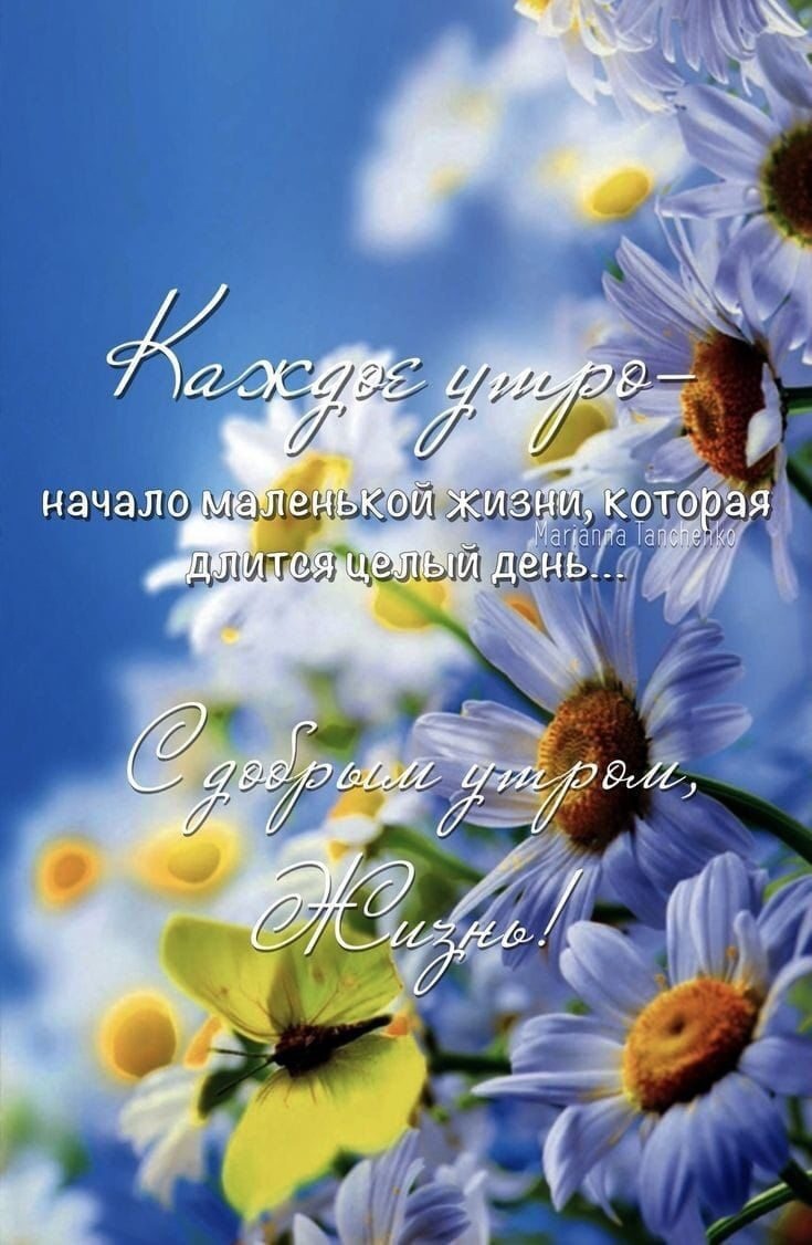Утренние картинки