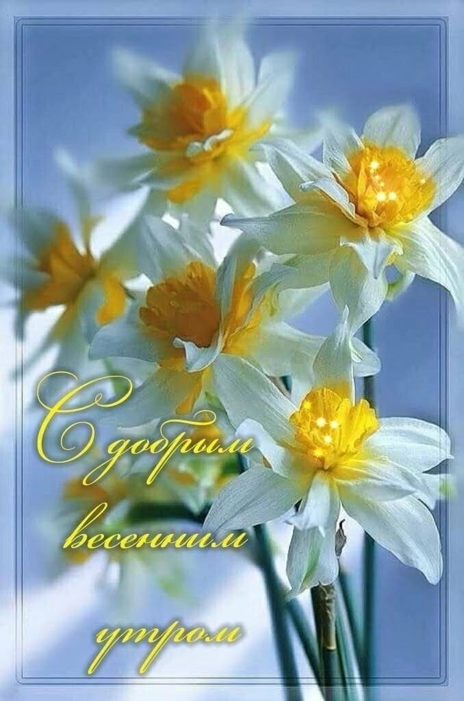 Утренние картинки
